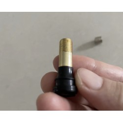 Valvola aria estesa per monopattino Segway ZT3 / Segway Max G3 o simile  - 2 Compatibilita: estensione valvola aria per Segway Z