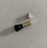 Valvola aria estesa per monopattino Segway ZT3 / Segway Max G3 o simile  - 3 Compatibilita: estensione valvola aria per Segway Z