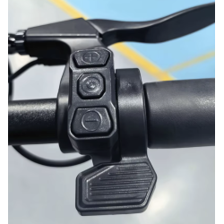 Gâchette accélérateur pour trottinettes AUSOM 48V 52V 60V K20 PRO GOSOUL 2 DT2 PRO L1 L2 L2 MAX F1 MAX VSETT APEX ou similaire  