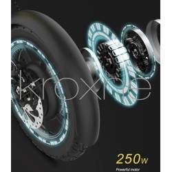 zBike - 250 watin sähköpyörä - 30-50 km itsenäisyyttä  - 12 zBike - 250 watin sähköpyörä - 30-50 km itsenäisyyttä
Varaa yksikkös