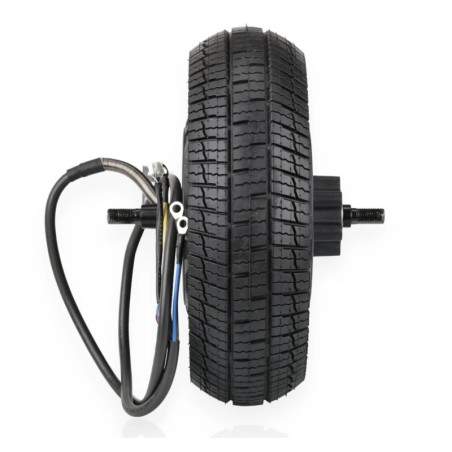 Komplet motor til Segway P65-serien, P100SE, P100SU el-scooter - maksimal effekt 1350w Segway - Ninebot - 1 Komplet motor til Se