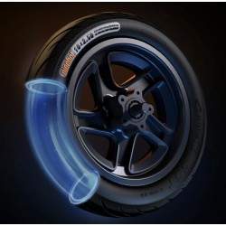 Celotno sprednje platišče z zavornim diskom za Segway F2, F2 Plus, F2 Pro ali podobno - 10x2,5 palcev Segway - Ninebot - 6 Celot