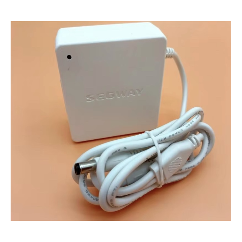 Original'noye vnutrenneye zaryadnoye ustroystvo dlya Segway Ninebot W1 Drift - 25V 1,5A  - 1 Original'noye vnutrenneye zaryadnoy